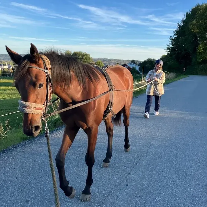 Elisabeth med hest på tur